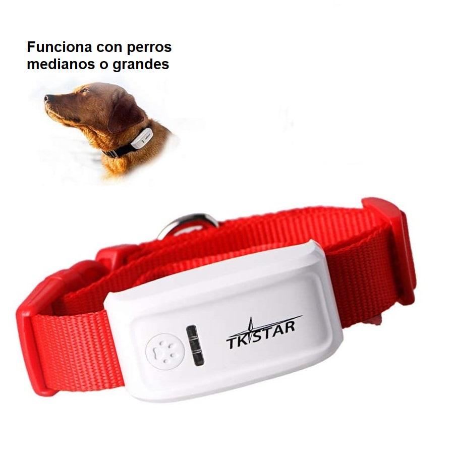 Collar Con GPS Rastreador Para Mascotas.– Carbone Store CR