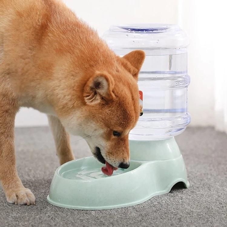 Dispensador De Agua Para Perro