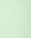 Panel Decorativo WPC Bambú Soft touch 1.22 m x 2.80 m x 5 mm Verde Tomillo Pastel