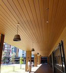 Panel Lama WPC ASA Oak Wood 3D Para Exteriores 112X16x2900mm, Madera, Hidrófugo Fachadas, Muros Y Techos