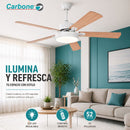 ANF3560 - imagen oficial Carbone Panamá 1
