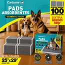 UN-A234 - fotografía Carbone Panamá del código exacto