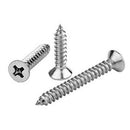 (caja 100 ) Tornillos para metal Phillips Acero Inoxidable 18-8 304