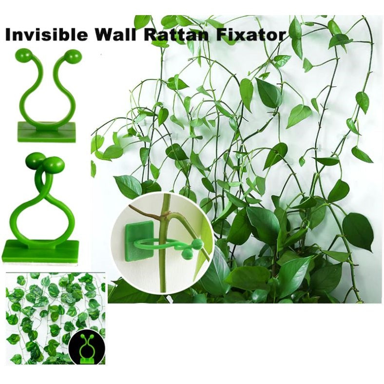Abrazadera invisible de pared para plantas trepadoras. Paquete de 30 Piezas.