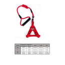 Correa Y Pechera 2 En 1 Para Mascotas