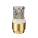 Válvula de pie check con resorte, filtro de bronce de 1 1/2" NESSATI