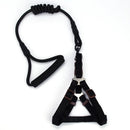 Correa y Pechera para mascotas. Color Negro. Talla M -Tamaño Correa 10mmx120cm Pechera 42-46cm