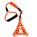 Correa y Pechera para mascotas. Color Naranja. Talla M -Tamaño Correa 10mmx120cm Pechera 42-46cm