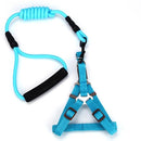 Correa y Pechera para mascotas. Color Azul Navy.  Talla L- Tamaño Correa 12mmx120cm Pechera 55-80cm