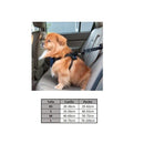 Arnes Pechera Para Mascota, Para Transportar En Auto. Tamaño S Medidas Cuello 35-50Cm Pecho 40-55Cm